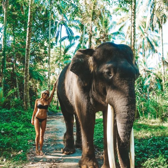 jetset-christina-elephant-picture-southeast-asia-beautiful-bucket-list-blogs