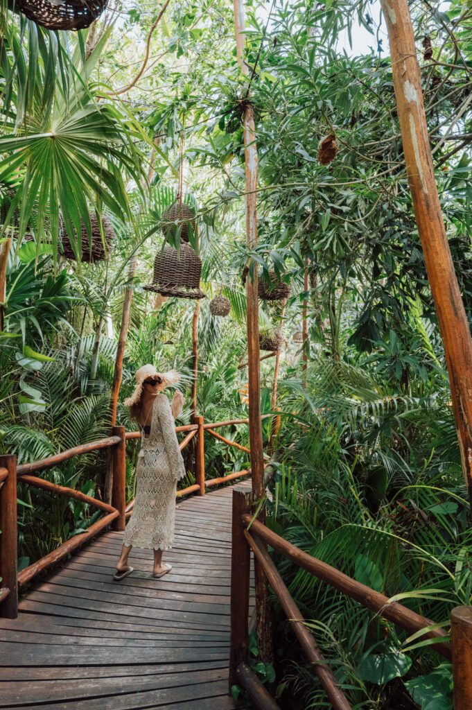 Wooden boardwalk through the jungle at Rosewood Mayakoba