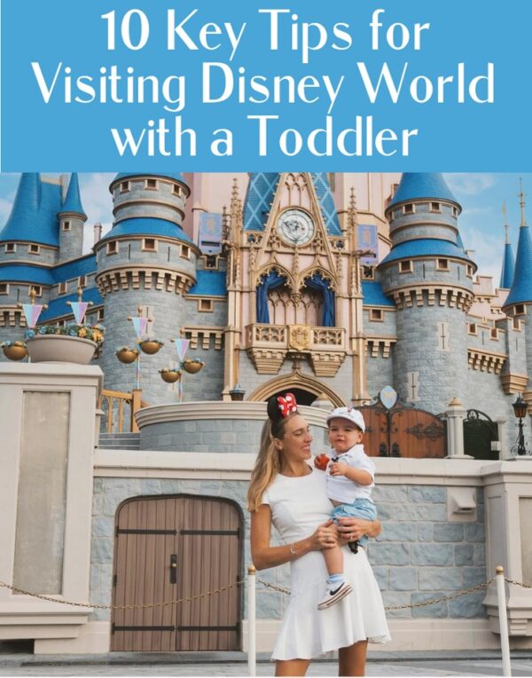 12 Key Tips for Visiting Disney World with a Toddler for the First Time ...