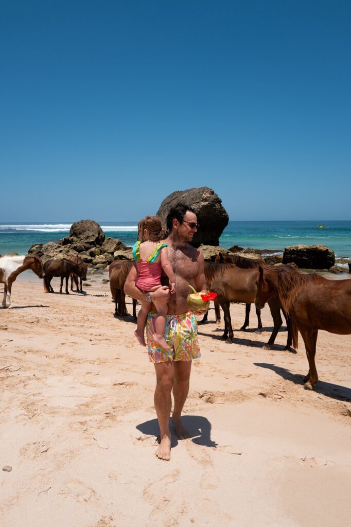 Dad carrying his toddler daughter past horses on the beach at NIHI Sumba